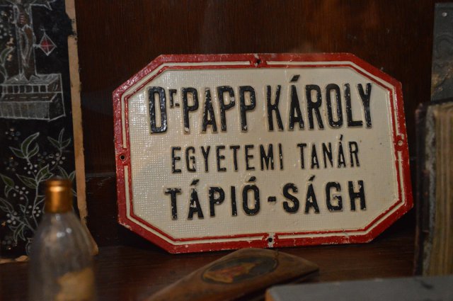 Papp Károly 2017